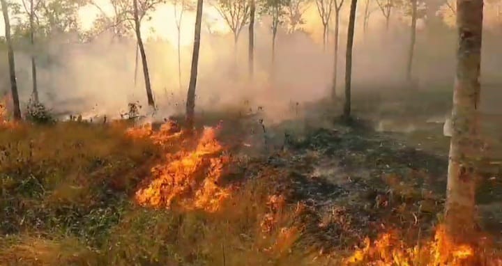 Kabupaten Kotim, Kalteng Mulai Memasuki Musim Kemarau, Waspadai Potensi Karhutla!