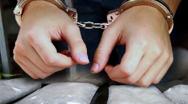 Fakta Mengejutkan! Oknum Polisi di Kalteng Terlibat Jaringan Sabu Bersama Istrinya, 57 Paket Disita BNNP