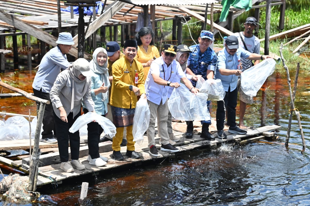 Gubernur Tebar Ribuan Benih Ikan di Sungai Kapitan, Dorong Ekonomi Rakyat dan Jaga Ekosistem