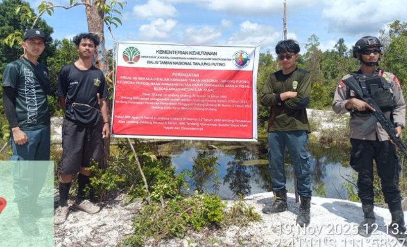 12 Penambang Liar di TN Tanjung Puting Ditangkap Tim Gabungan