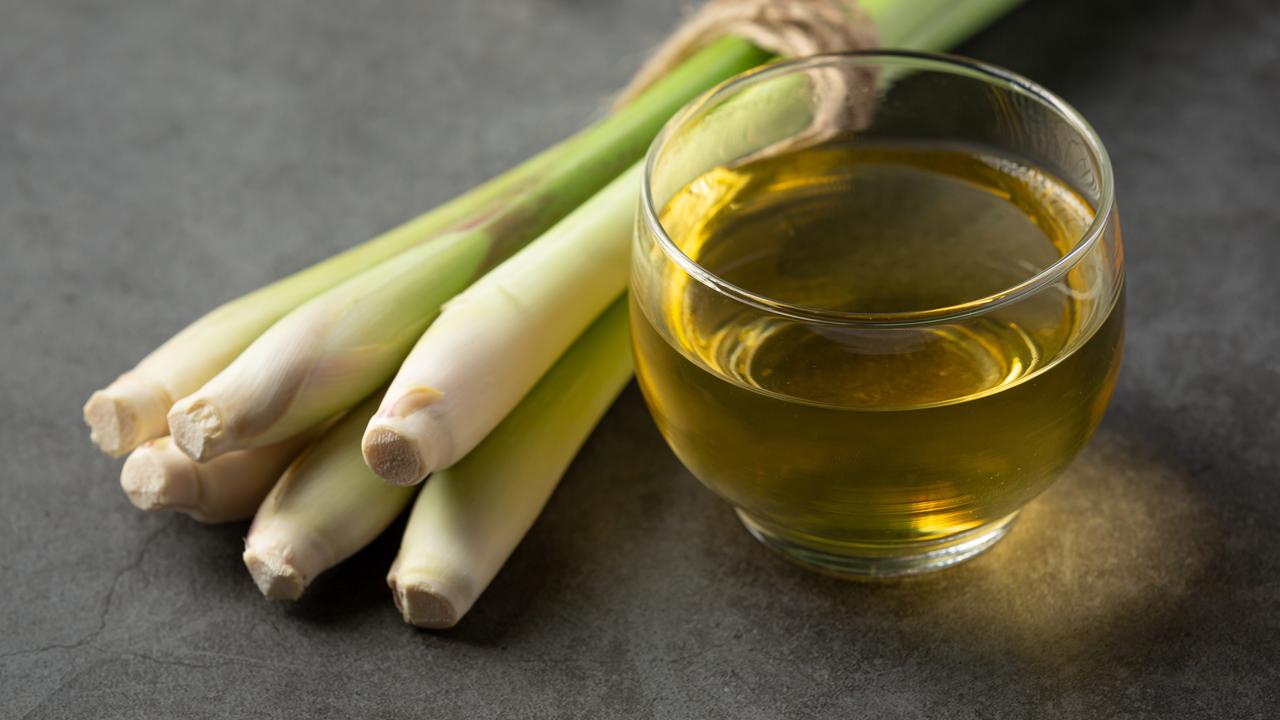 10 Manfaat Serai untuk Kesehatan: Tanaman Herbal Serbaguna yang Wajib Ada di Rumah