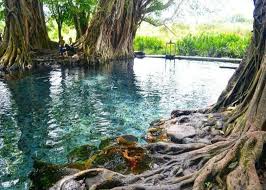 7 Tempat Wisata Keluarga di Klaten dengan Spot Foto Terbaik, Liburan Jadi Makin Seru dan Instagramable!