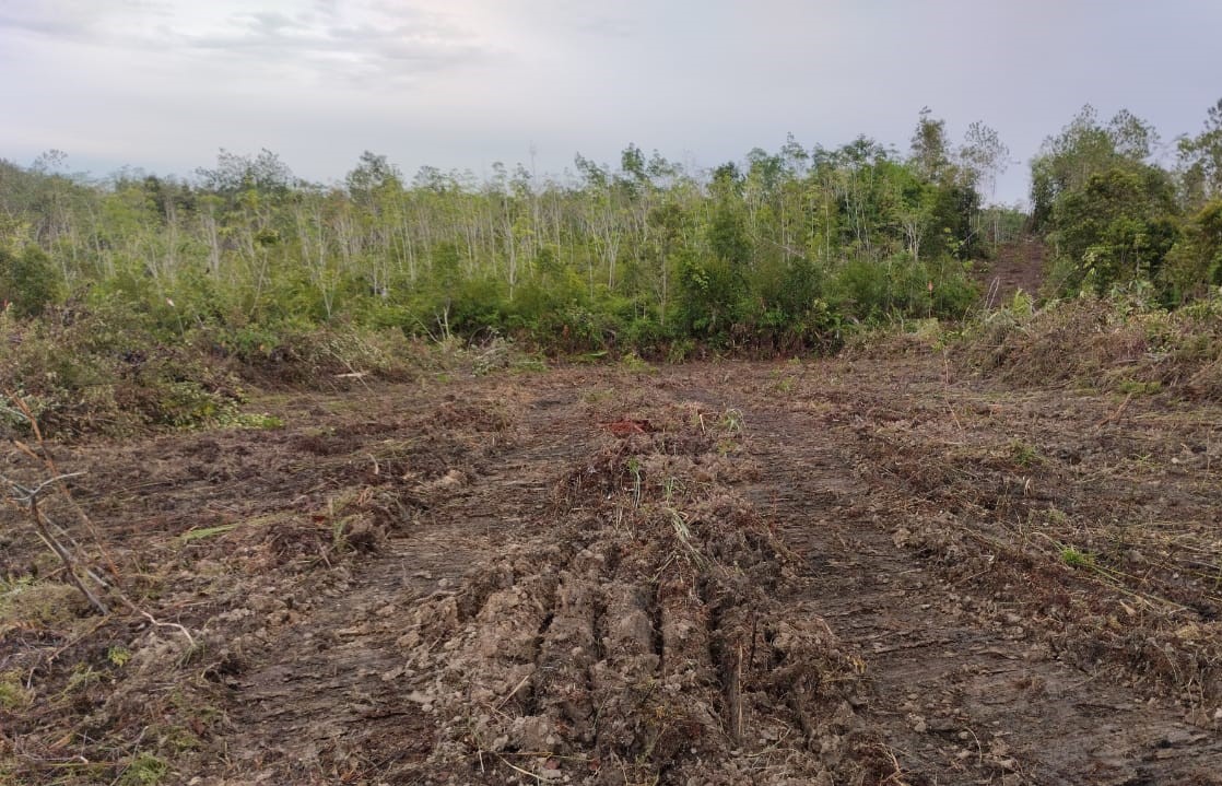 Apa Itu Tanah Telantar? Yuk Kenali Definisinya