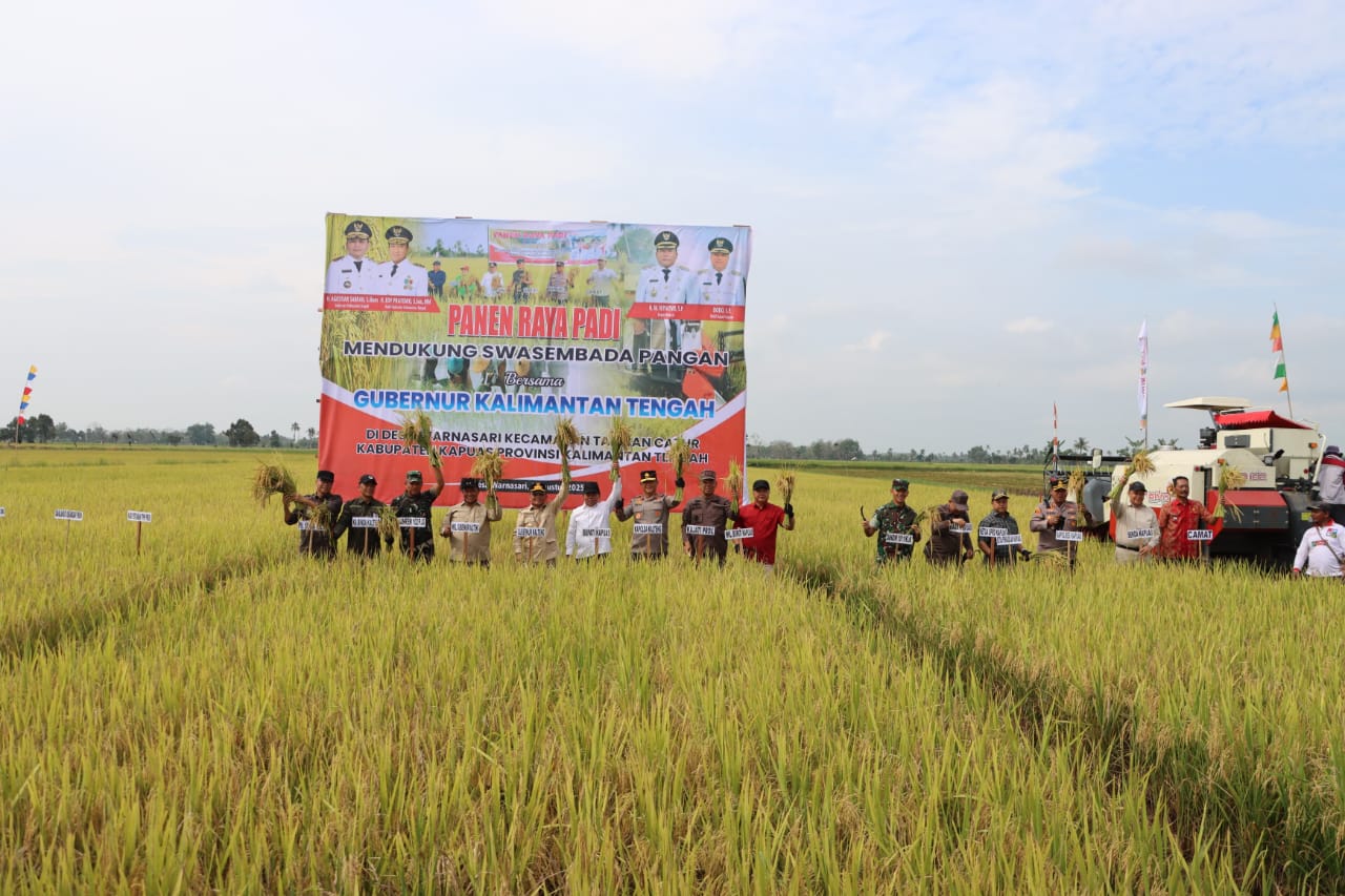 Panen Raya Padi di Kapuas, Kapolda dan Gubernur Perkuat Komitmen Ketahanan Pangan