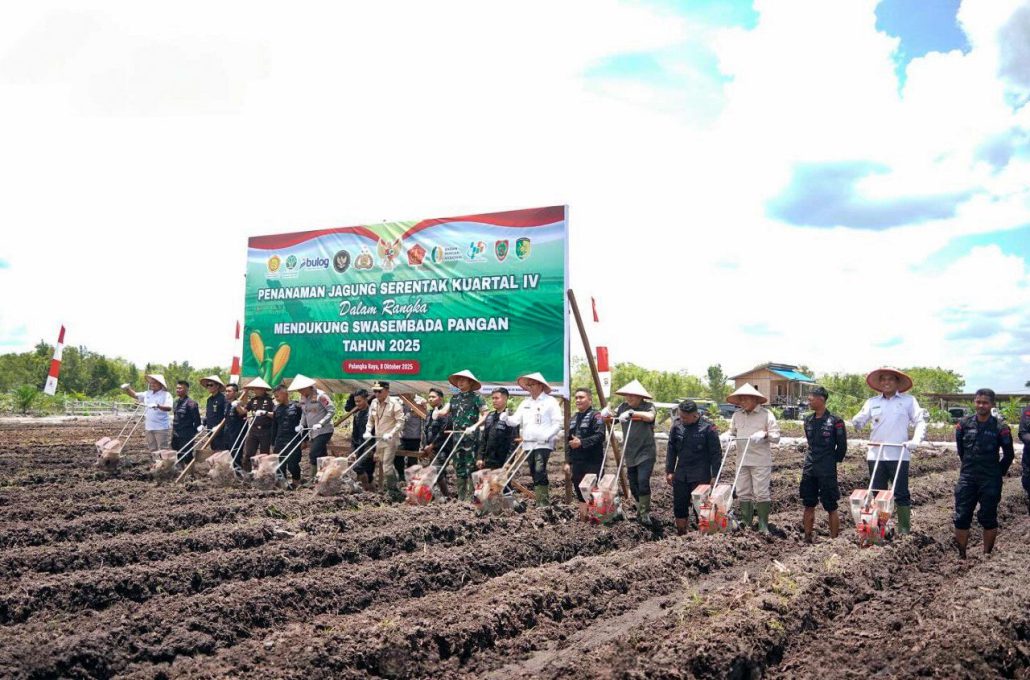 Palangka Raya Dukung Penanaman Jagung Serentak, Gubernur: Kalteng Siap Jadi Lumbung