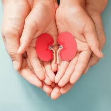 Waspada! 5 Jenis Makanan Pemicu Sakit Ginjal yang Jarang Diketahui, Nomor 4 Sering Dianggap Sehat