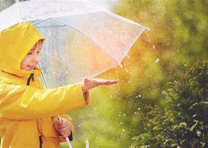 Prakiraan Cuaca Mingguan Kalimantan Tengah, Waspada Hujan Lebat dan Angin Kencang