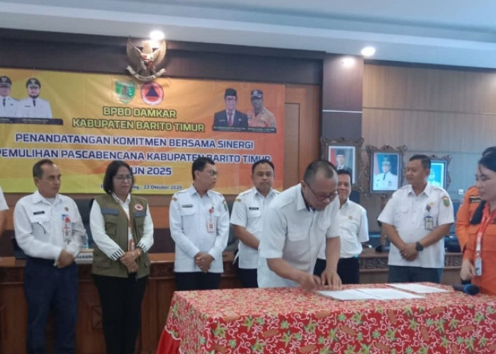Barito Timur Bentuk Tim Teknis Pemulihan Pascabencana, Bupati: Bangun Lebih Baik