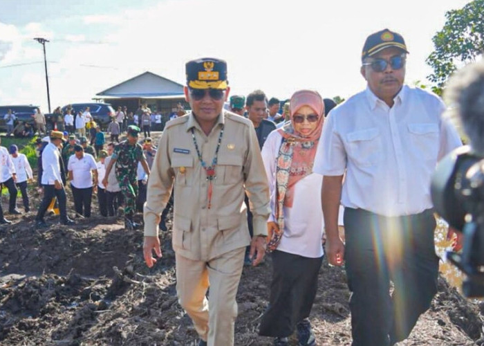 Gubernur Tinjau Langsung Proyek Cetak Sawah di Pulang Pisau, Optimisme Tumbuh