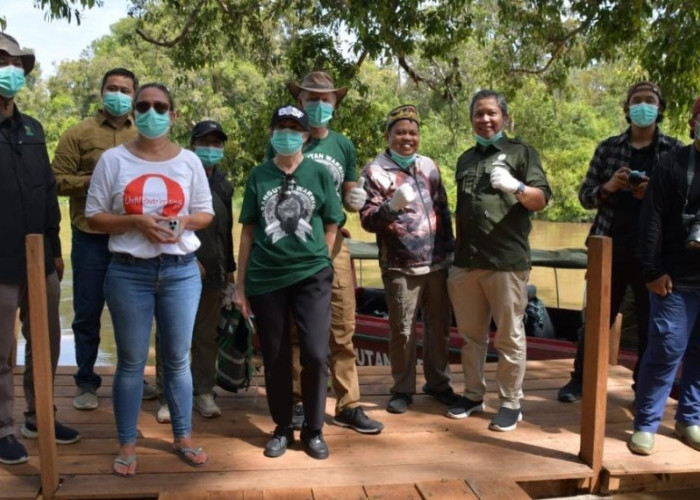 Pemprov Tegaskan Komitmen Jaga Kelestarian Orangutan Kalimantan