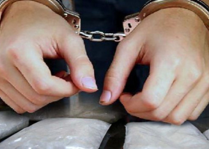 Fakta Mengejutkan! Oknum Polisi di Kalteng Terlibat Jaringan Sabu Bersama Istrinya, 57 Paket Disita BNNP