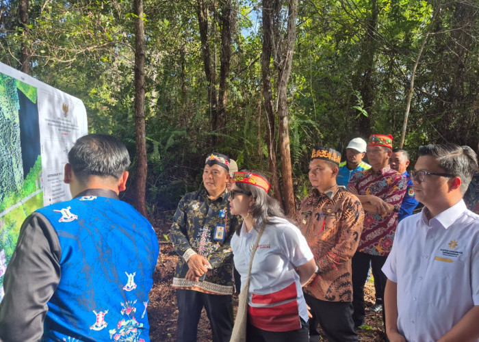 Wamendiktisaintek Stella Christie Tinjau Lahan Sekolah Garuda di Katingan