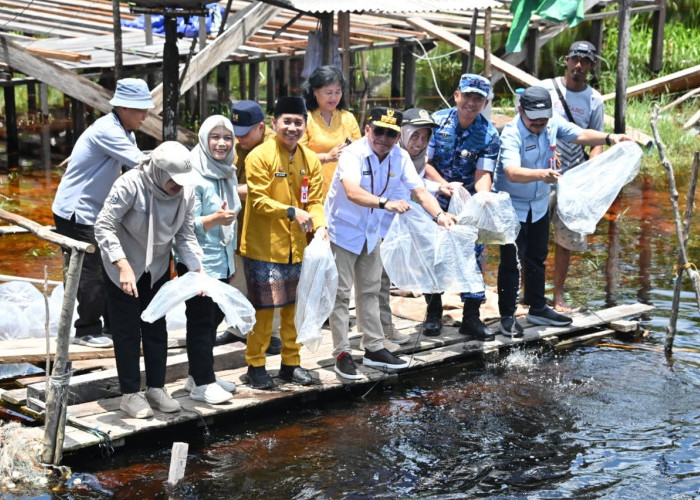 Gubernur Tebar Ribuan Benih Ikan di Sungai Kapitan, Dorong Ekonomi Rakyat dan Jaga Ekosistem