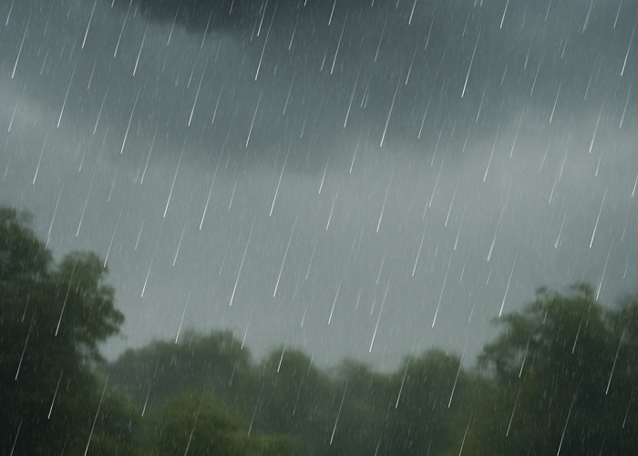 BMKG Keluarkan Peringatan Dini Cuaca Kalteng 4–6 Januari 2026, Waspadai Hujan Lebat 