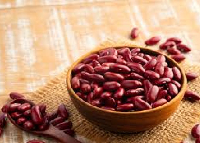 Manfaat Kacang Merah untuk Pencernaan: Kaya Serat, Cegah Sembelit, dan Sehatkan Usus