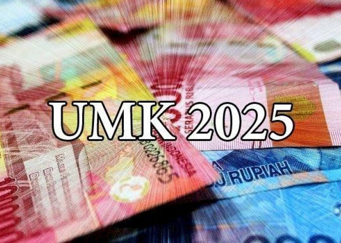 Daftar UMK Kalimantan Tengah 2025: Kapuas Tercatat Sebagai Daerah dengan Upah Terendah