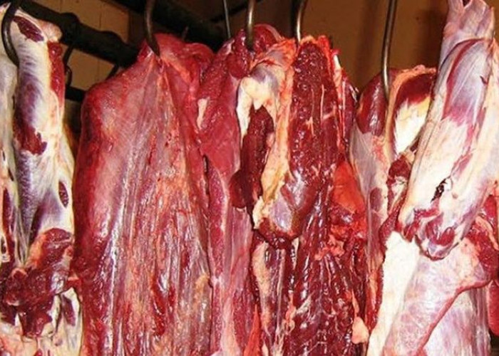 10 Makanan Penyebab Bau Mulut yang Harus Dihindari, Bikin Nggak Percaya Diri!