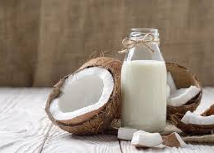 Ternyata Bukan Musuh! Ini 8 Manfaat Santan untuk Kesehatan, Rambut, dan Kulit yang Jarang Diketahui