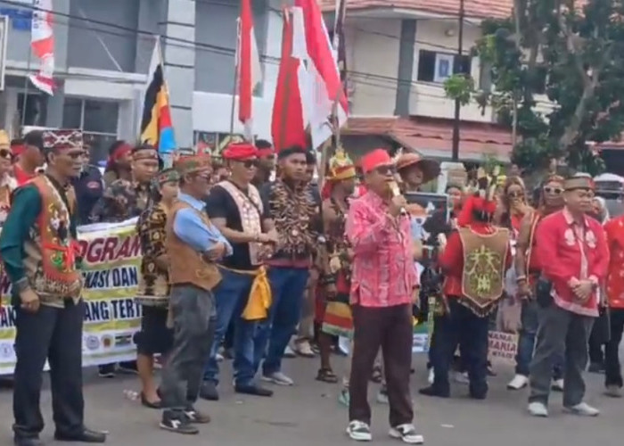 Massa Aliansi Dayak Bersatu Demo Tolak Transmigrasi dengan Ritual Adat