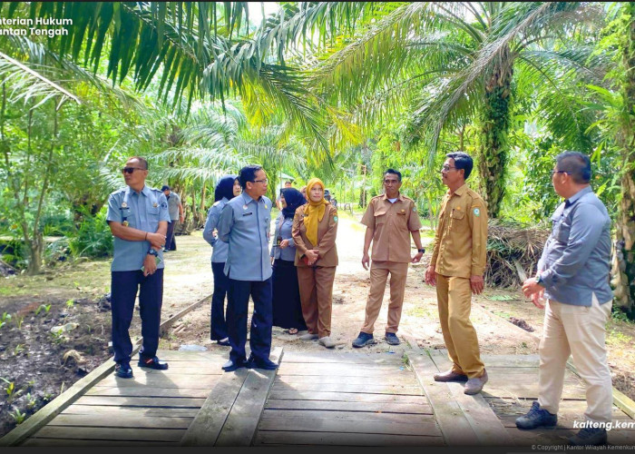 Kanwil Kemenkum Kalteng Tinjau Kebun Kelapa Kotim, Dorong Percepatan Indikasi Geografis