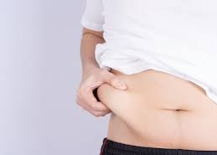 Lemak Visceral Berbahaya bagi Kesehatan, Ini 4 Kebiasaan Sehari-hari yang Harus Dihentikan