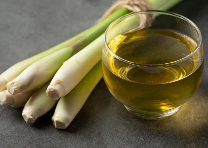 10 Manfaat Serai untuk Kesehatan: Tanaman Herbal Serbaguna yang Wajib Ada di Rumah