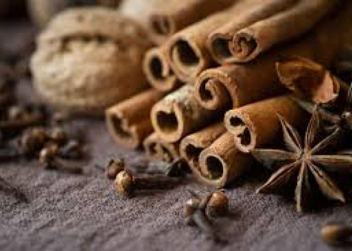 Aroma Kayu Manis Bisa Usir 7 Hewan di Rumah, Termasuk Tikus dan Kecoa