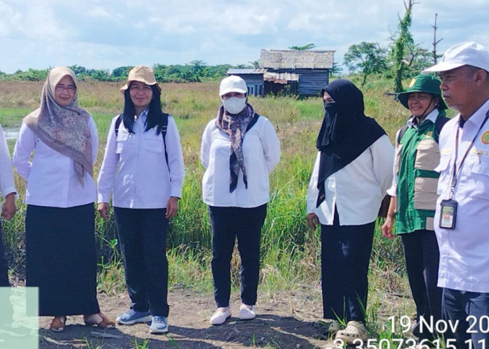 BRMP Perkuat Kapasitas Penyuluh dan Petani Seruyan untuk Dukung Swasembada Pangan