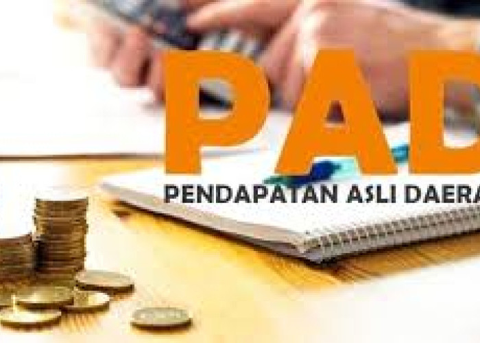 Retribusi Daerah Palangka Raya Seret di Awal 2026, Kominfo dan Damkar Belum Sumbang PAD