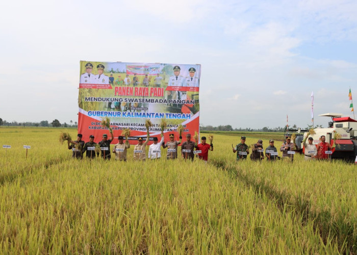 Panen Raya Padi di Kapuas, Kapolda dan Gubernur Perkuat Komitmen Ketahanan Pangan
