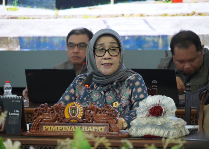 Pansus DPRD Bahas Raperda Investasi, Targetkan Pusat Investasi Bernilai Tambah