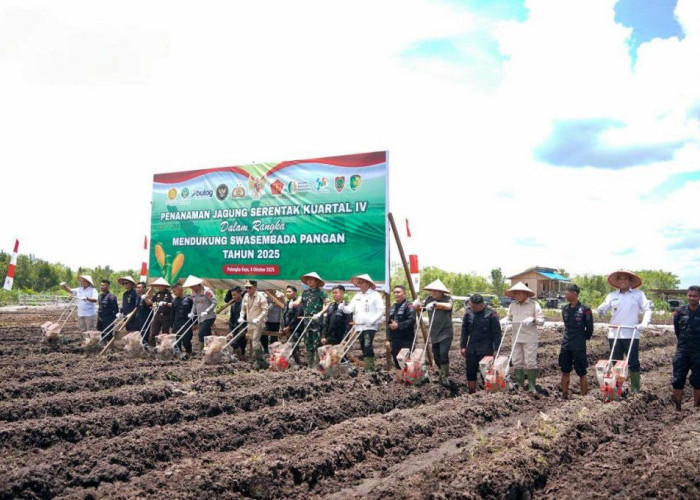 Palangka Raya Dukung Penanaman Jagung Serentak, Gubernur: Kalteng Siap Jadi Lumbung