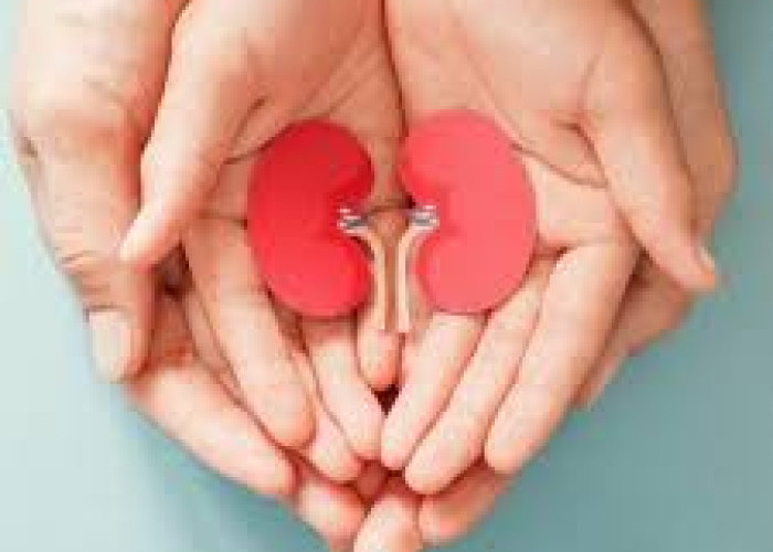 Waspada! 5 Jenis Makanan Pemicu Sakit Ginjal yang Jarang Diketahui, Nomor 4 Sering Dianggap Sehat