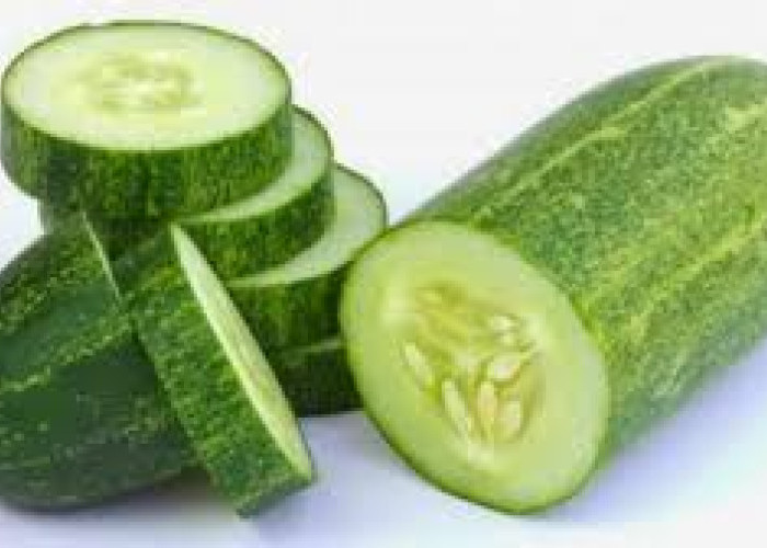 Jangan Dibuang! Ini 6 Manfaat Kulit Mentimun bagi Kesehatan yang Jarang Diketahui