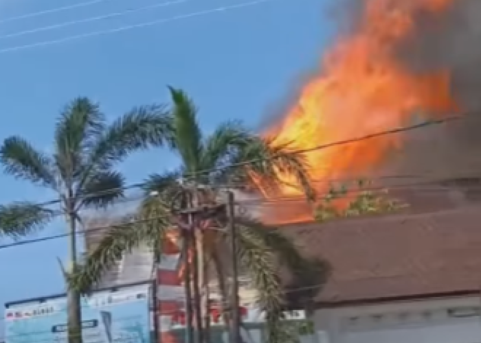 Gedung DPMPTSP Kebakaran, Pelayanan Publik Tetap Dijamin Berjalan