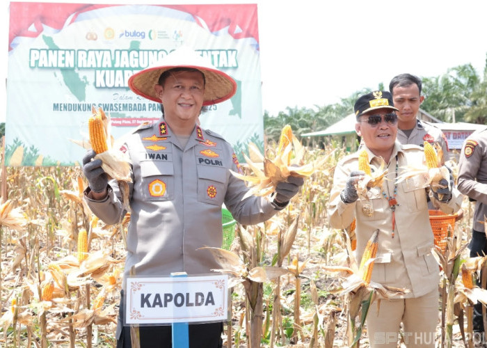Panen Raya Jagung di Pulpis, Kapolda dan Gubernur Tegaskan Dukungan untuk Ketahanan Pangan Nasional