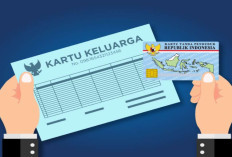 Cara Cek dan Cetak Kartu Keluarga (KK) Online Lewat HP dengan Mudah: Panduan Lengkap via Aplikasi IKD Terbaru