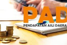 Realisasi PAD Kalteng Baru 10,51% Hingga Februari 2026, Ketergantungan Dana Transfer Masih Tinggi