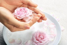 Manfaat Air Mawar untuk Wajah: Rahasia Kecantikan Alami yang Kembali Populer di Era Clean Beauty