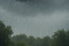 BMKG Keluarkan Peringatan Dini Cuaca Kalteng 4–6 Januari 2026, Waspadai Hujan Lebat 