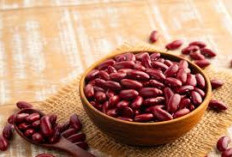 Manfaat Kacang Merah untuk Pencernaan: Kaya Serat, Cegah Sembelit, dan Sehatkan Usus