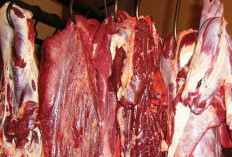 10 Makanan Penyebab Bau Mulut yang Harus Dihindari, Bikin Nggak Percaya Diri!