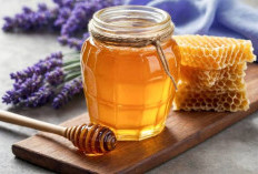 Apakah Madu Terbukti Lebih Ampuh Redakan Batuk daripada Obat Sirup, Ini Penjelasan Dokternya!