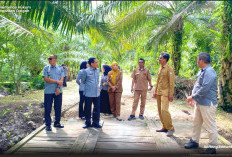 Kanwil Kemenkum Kalteng Tinjau Kebun Kelapa Kotim, Dorong Percepatan Indikasi Geografis