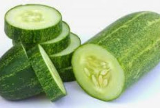 Jangan Dibuang! Ini 6 Manfaat Kulit Mentimun bagi Kesehatan yang Jarang Diketahui