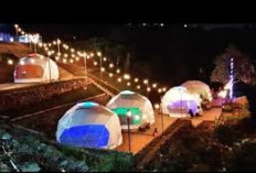 7 Tempat Wisata di Bogor yang Buka Sampai Malam, Cocok untuk Liburan Akhir Tahun